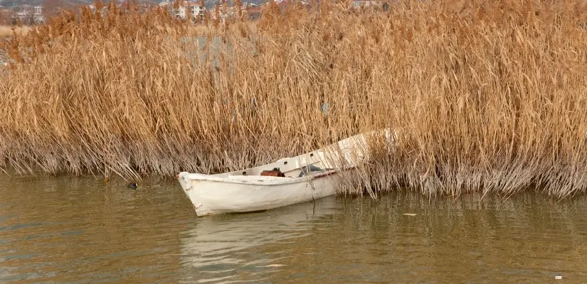 Mogan Gölü